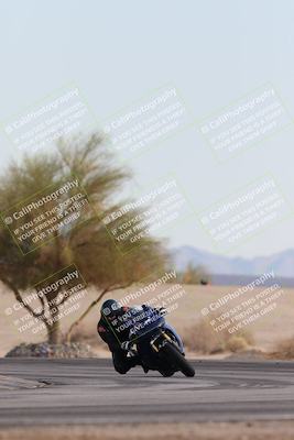 media/Nov-30-2025-TrackXperience (Sun) [[c0061d280f]]/2-Level 2/Session 6 Turn 4 Tree of Life/